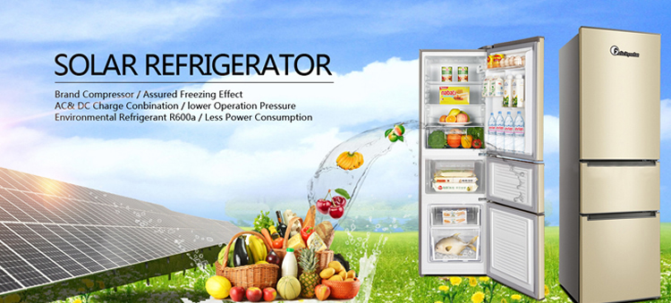 ozone-solar-friegs-and-freezer7